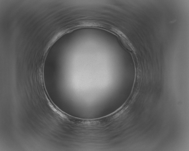 X0000051251433200507011640