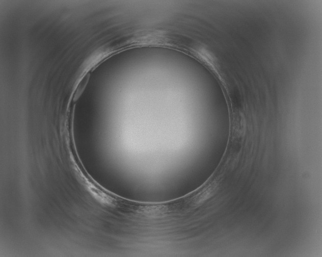 X0000051251434200507011641