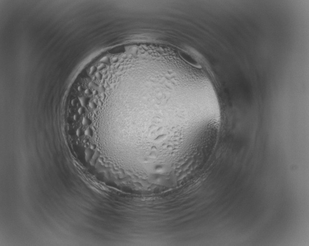 X0000051251435200507011641