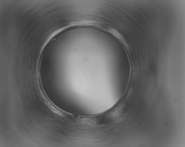 X0000051251436200507011641