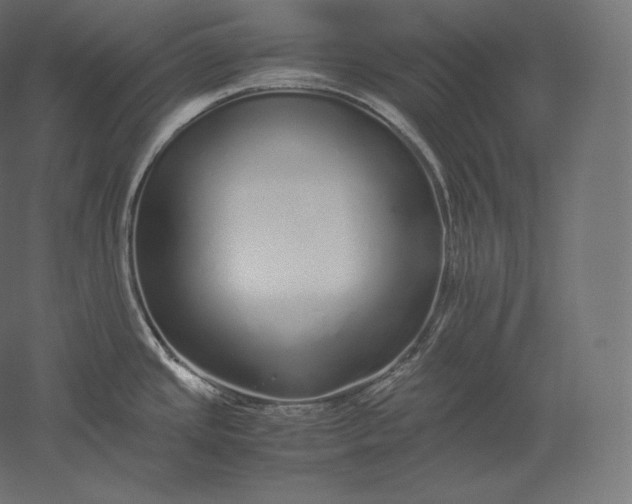 X0000051251437200507011641