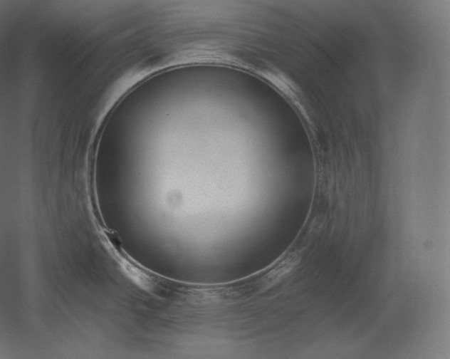 X0000051251438200507011641