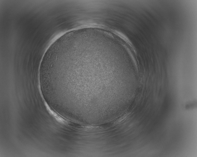 X0000051251439200507011641