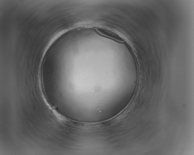 X0000051251440200507011641