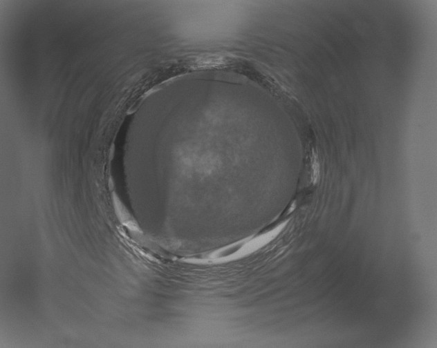 X0000051251441200507011640