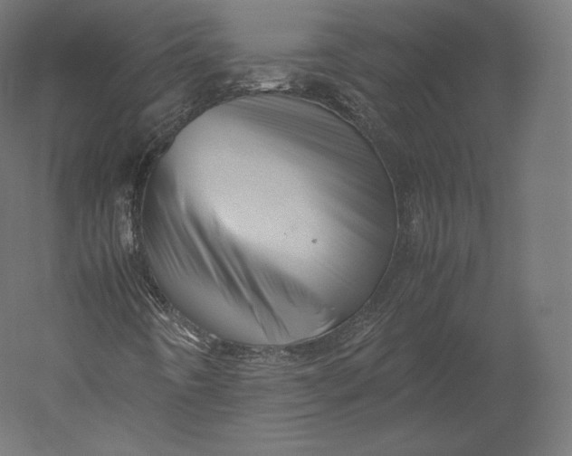 X0000051251442200507011640