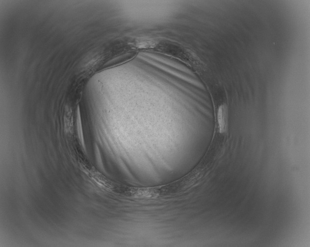 X0000051251443200507011640