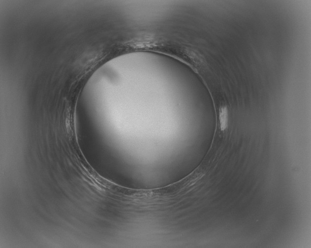 X0000051251444200507011640