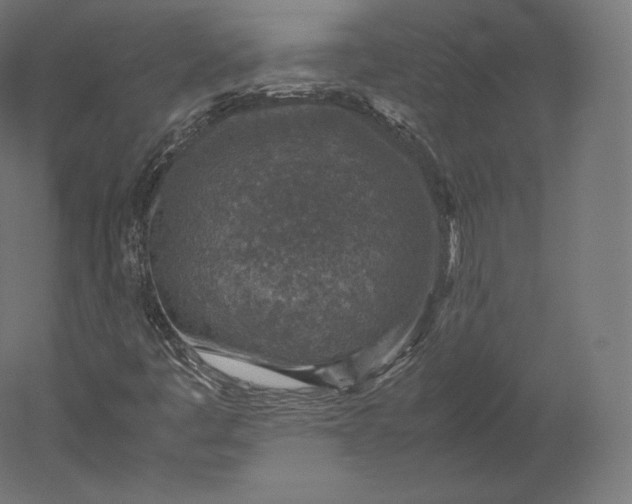 X0000051251445200507011640