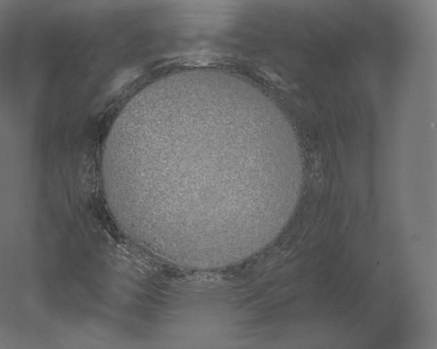 X0000051251446200507011640