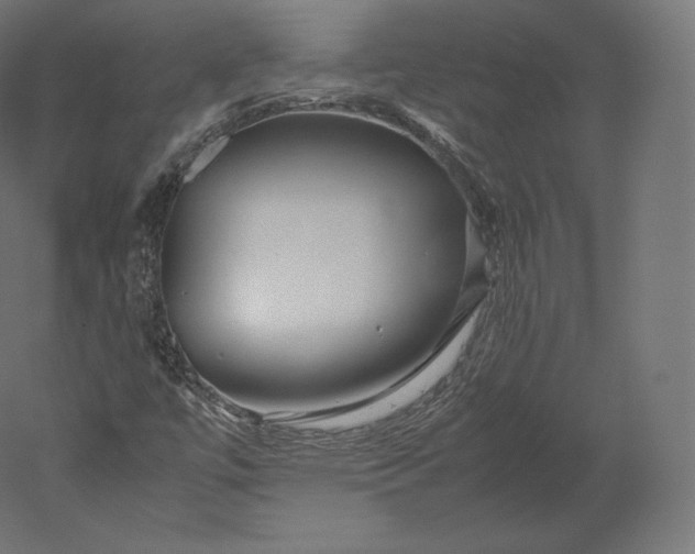 X0000051251447200507011640