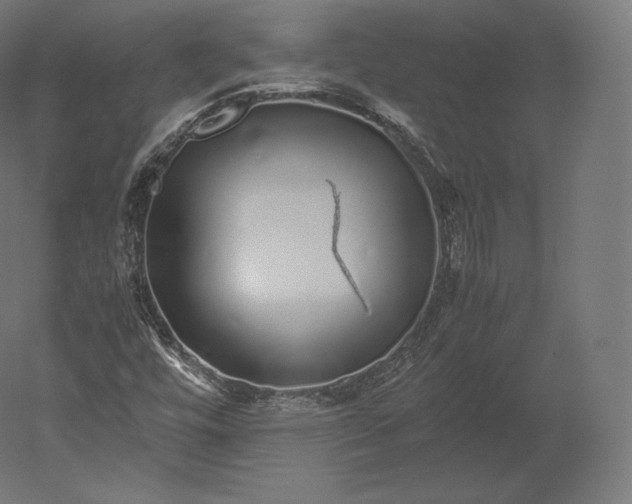 X0000051251448200507011640