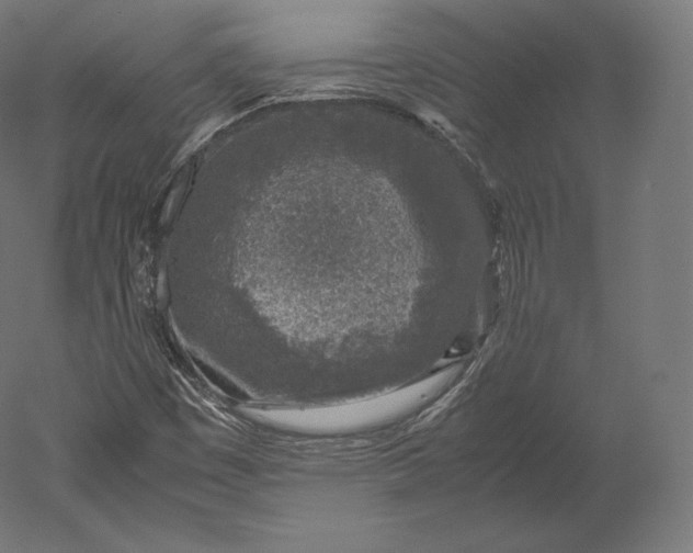 X0000051251449200507011640