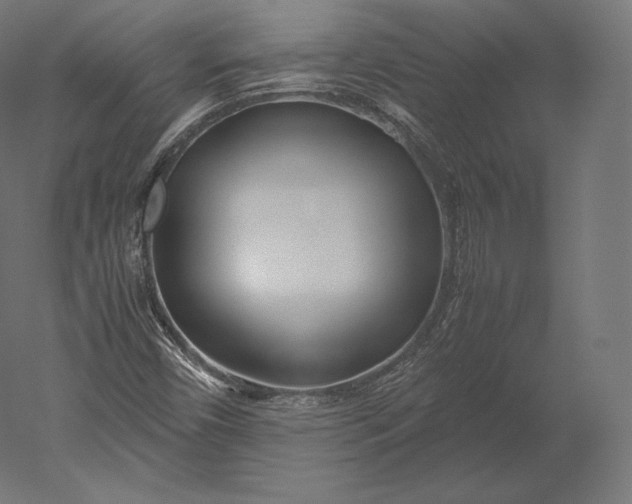 X0000051251450200507011640