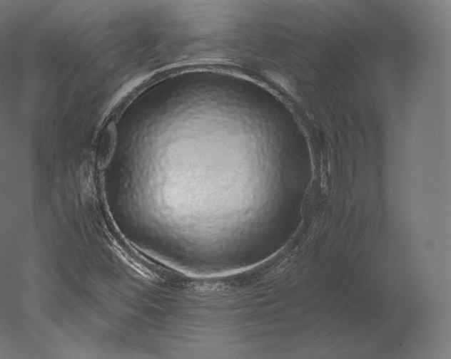 X0000051251452200507011640