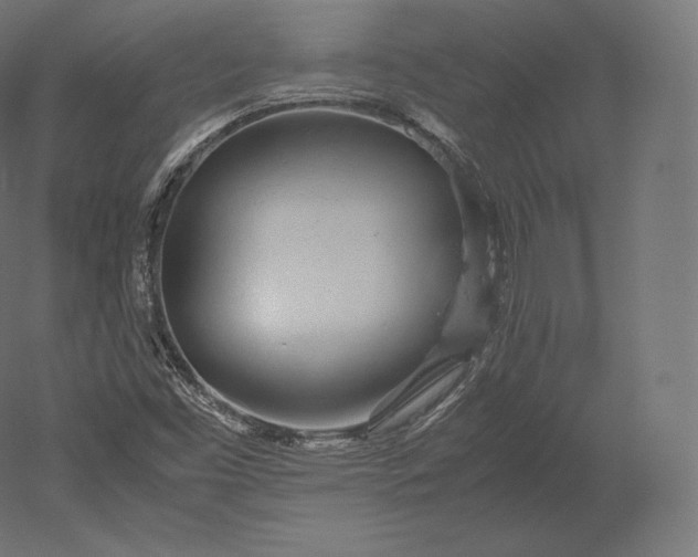 X0000051251453200507011640