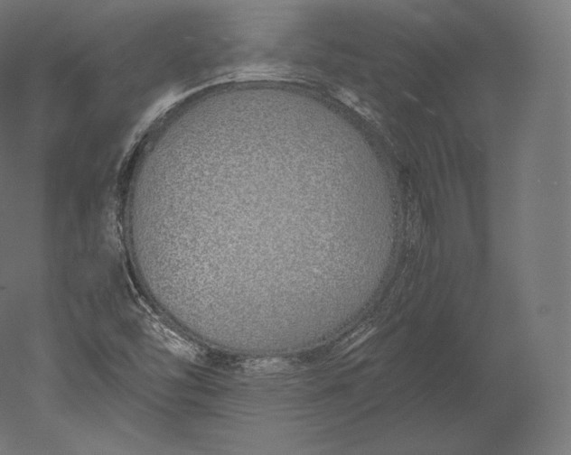 X0000051251454200507011640