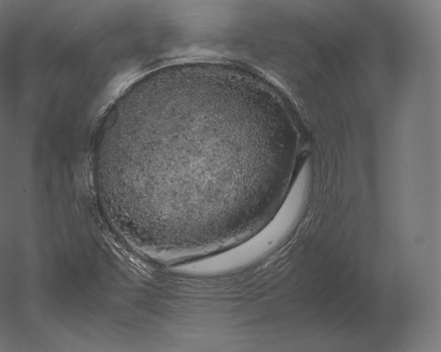 X0000051251455200507011640