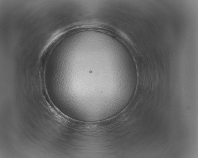 X0000051251456200507011640