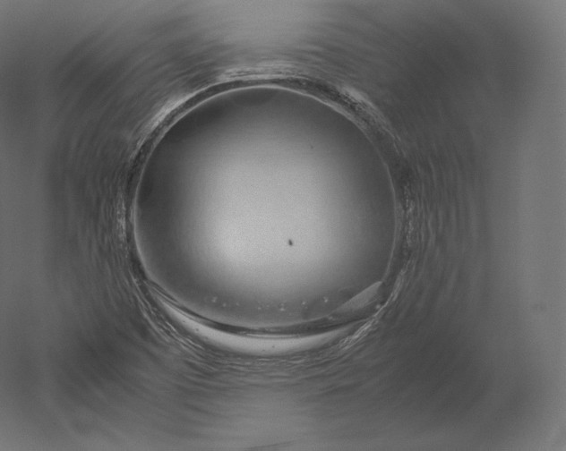 X0000051251457200507011640