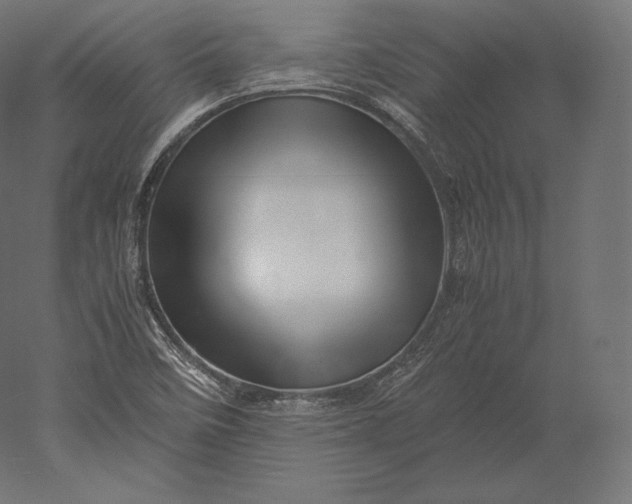 X0000051251458200507011640