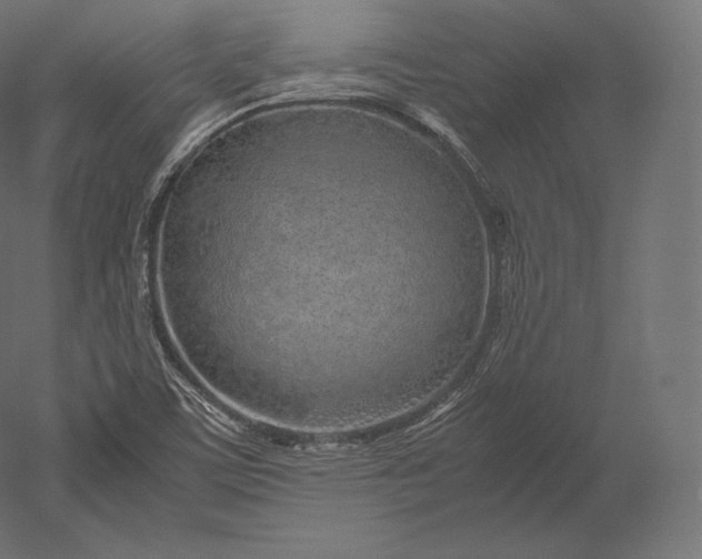 X0000051251459200507011639