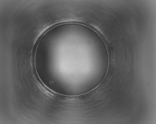 X0000051251460200507011639