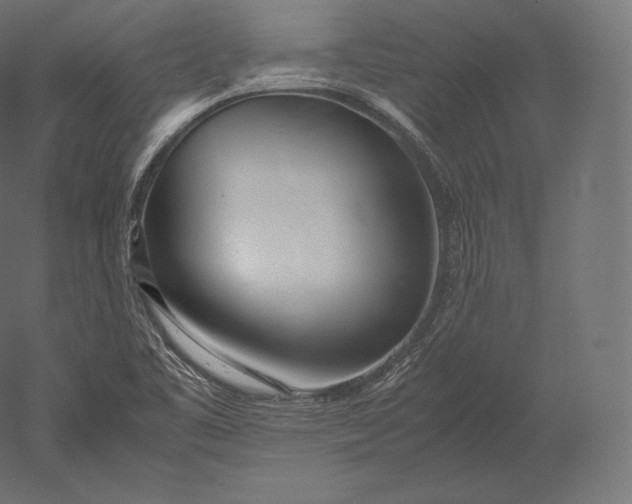 X0000051251461200507011639