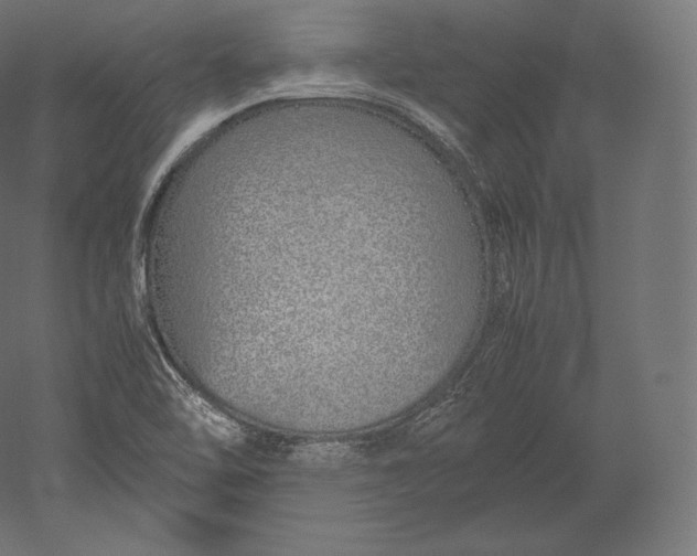 X0000051251462200507011639