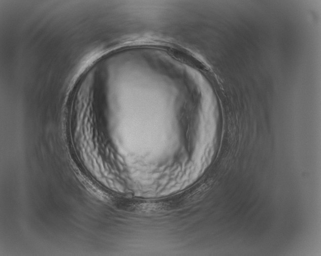 X0000051251463200507011639