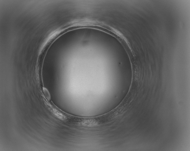 X0000051251464200507011639