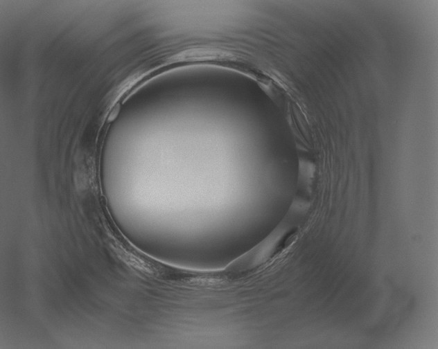 X0000051251465200507011639