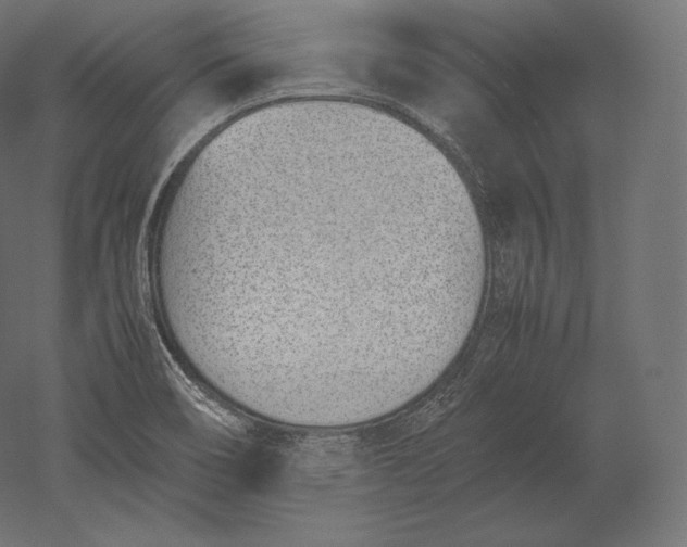 X0000051251466200507011639