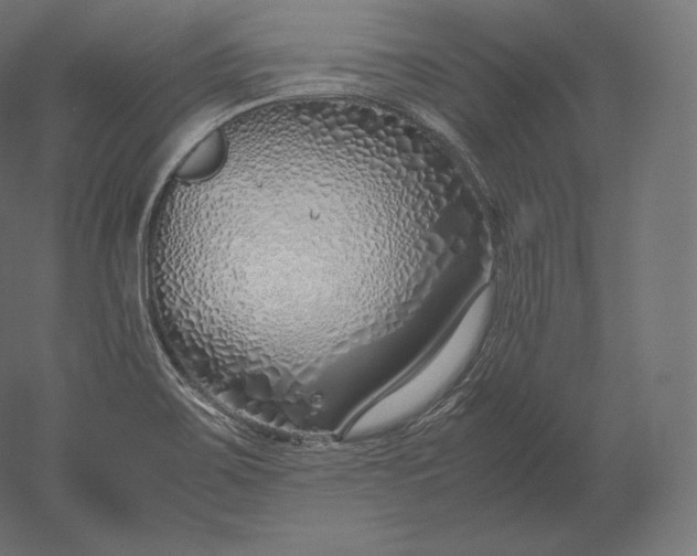 X0000051251467200507011639