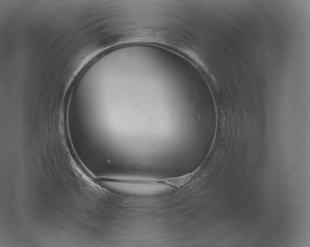 X0000051251468200507011639