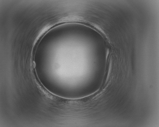 X0000051251469200507011639