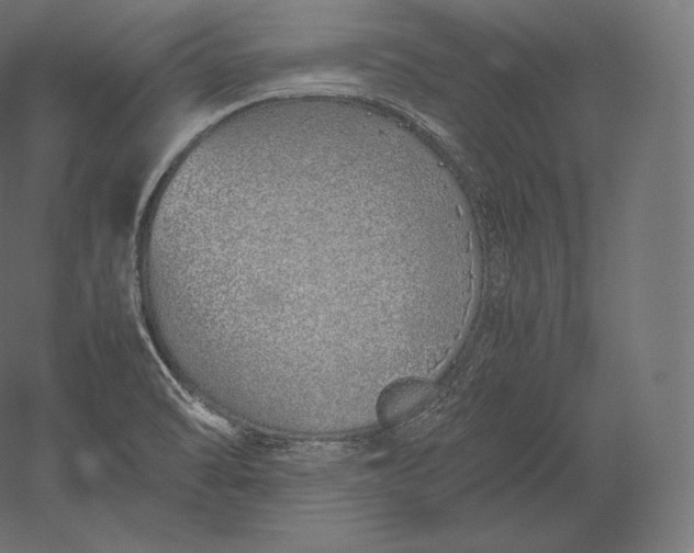 X0000051251470200507011639