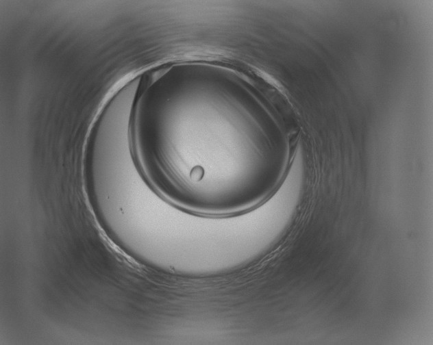 X0000051251471200507011639