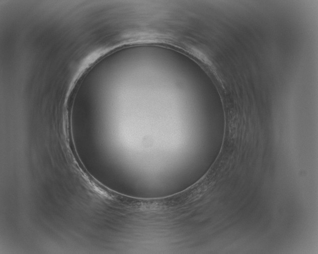 X0000051251472200507011639