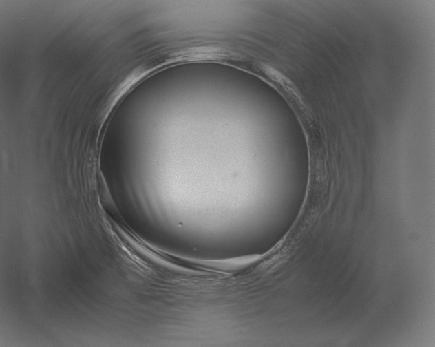 X0000051251473200507011639