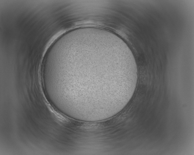 X0000051251474200507011639