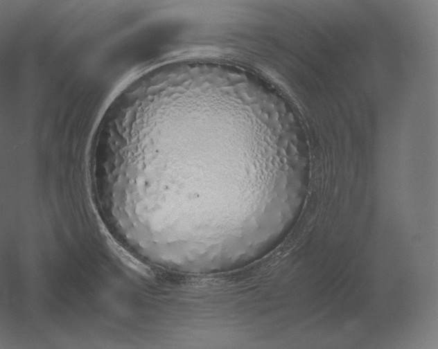 X0000051251475200507011639