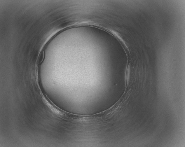 X0000051251476200507011639