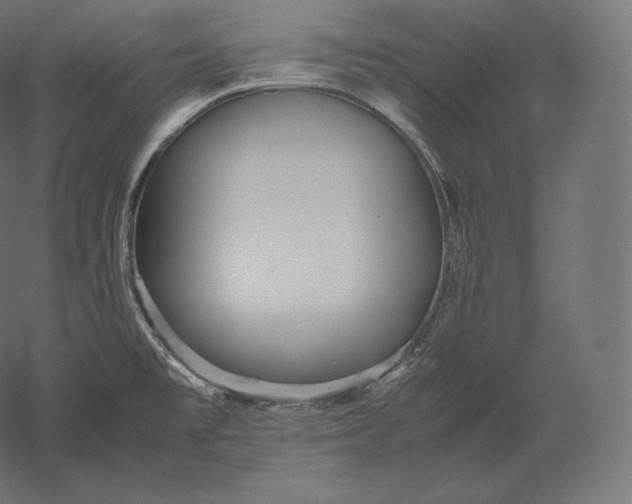 X0000051251477200507011639