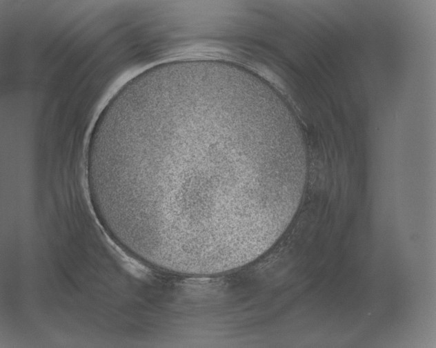 X0000051251478200507011639