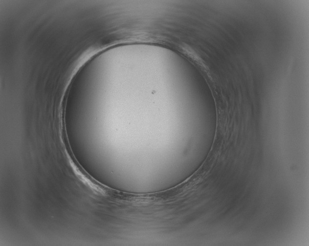 X0000051251479200507011639