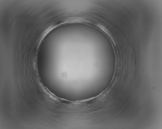 X0000051251481200507011639