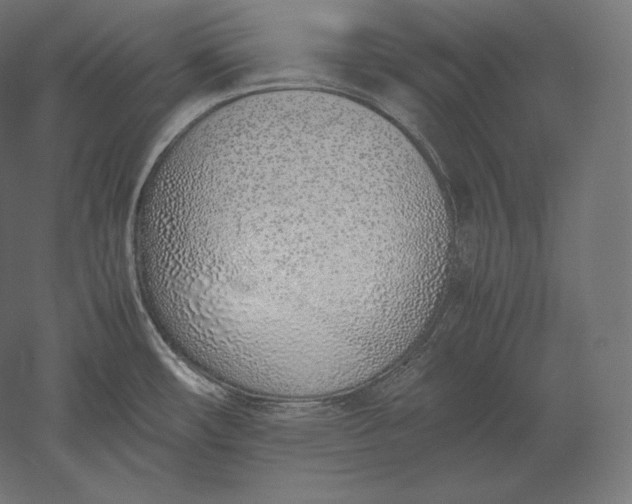 X0000051251482200507011639