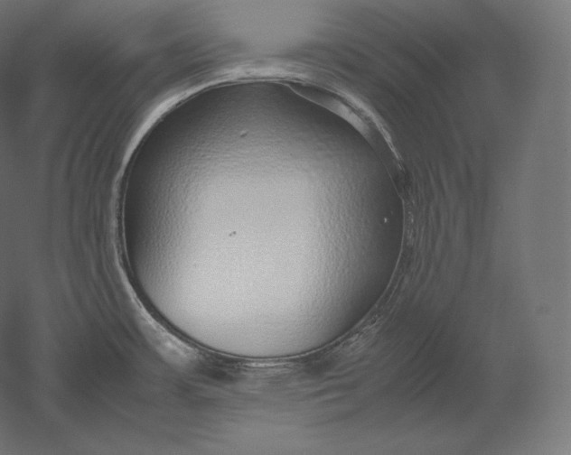 X0000051251483200507011639