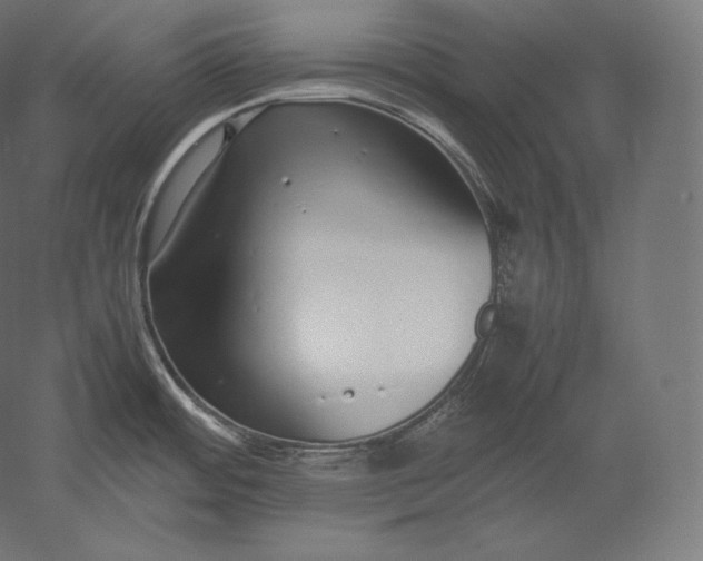 X0000051251484200507011639